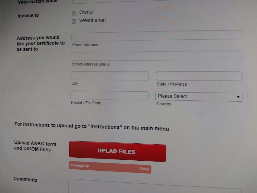The upload failed while uploading a file