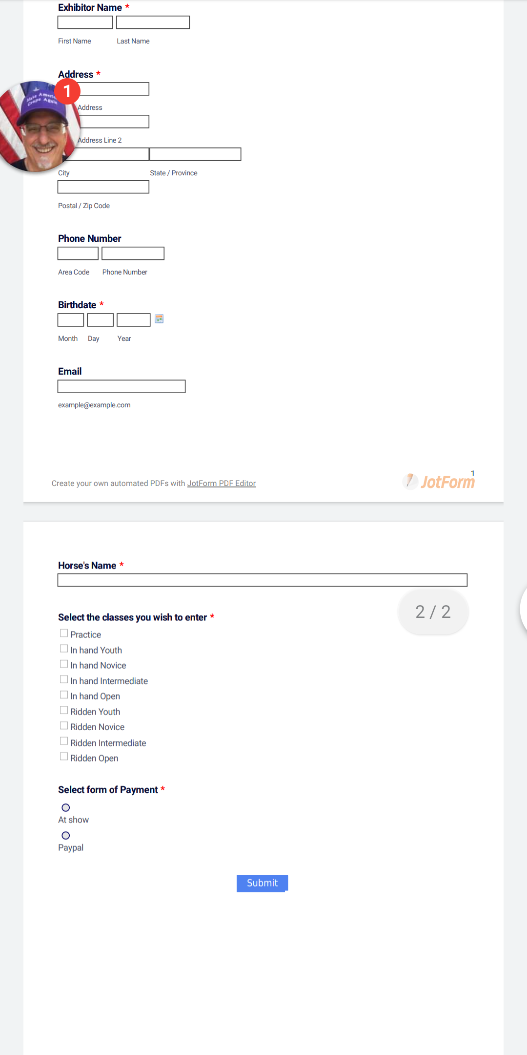 Fill in the Blanks not showing in PDF form