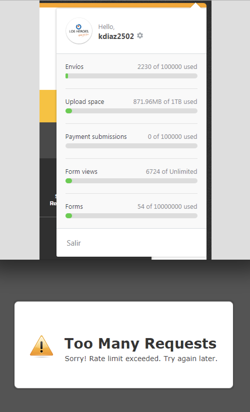 bitstamp too many requests