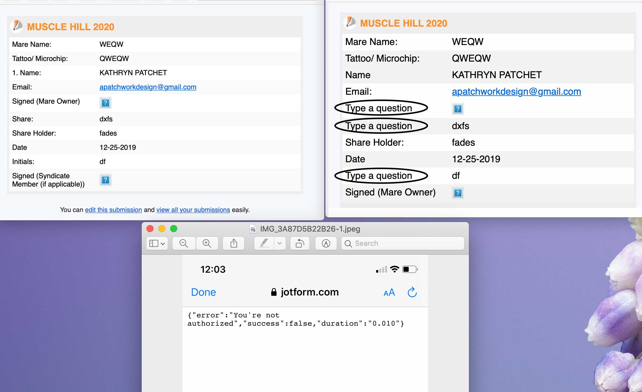Email previews are different between sender and receiver