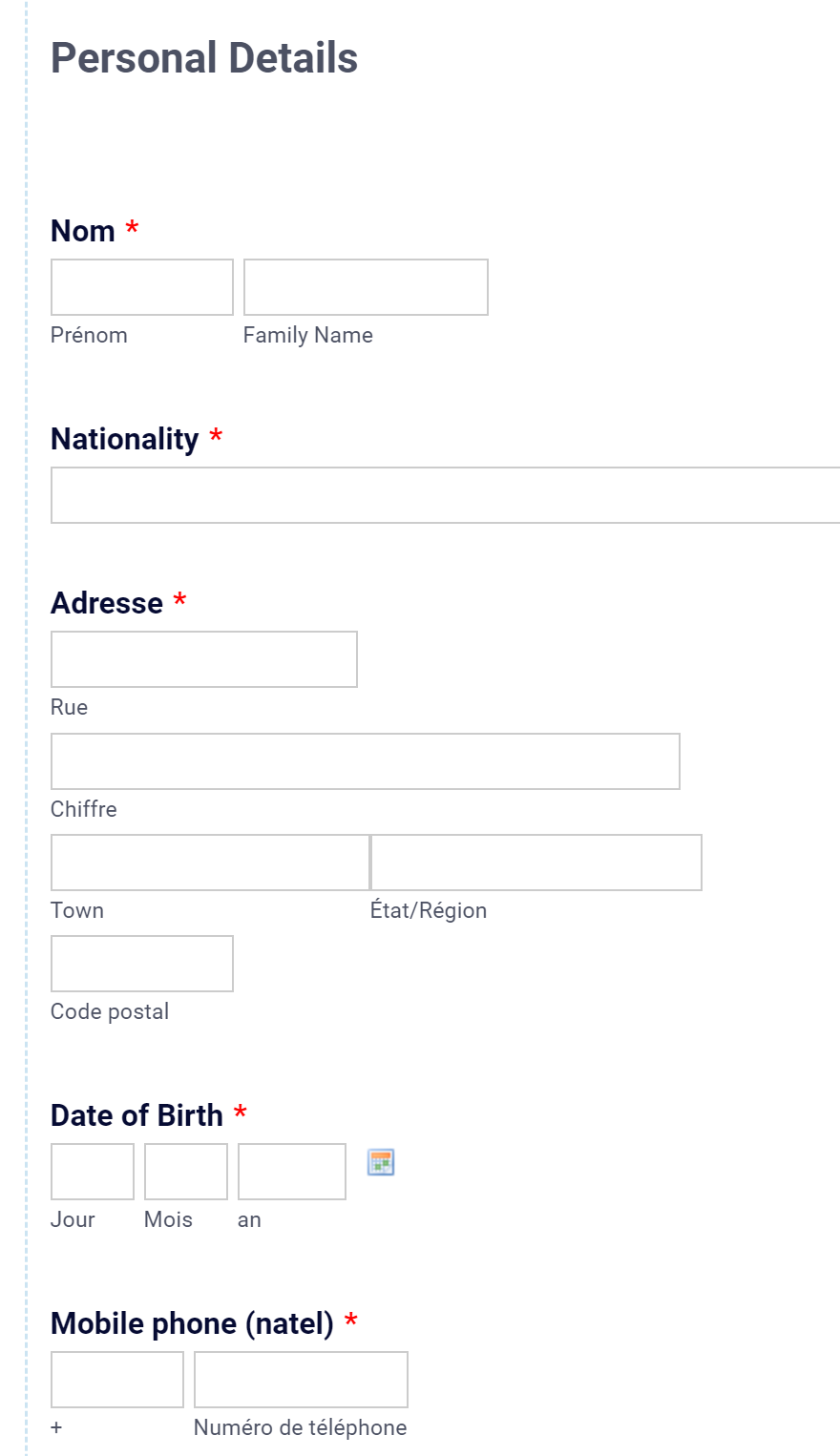 Translating a PDF Form