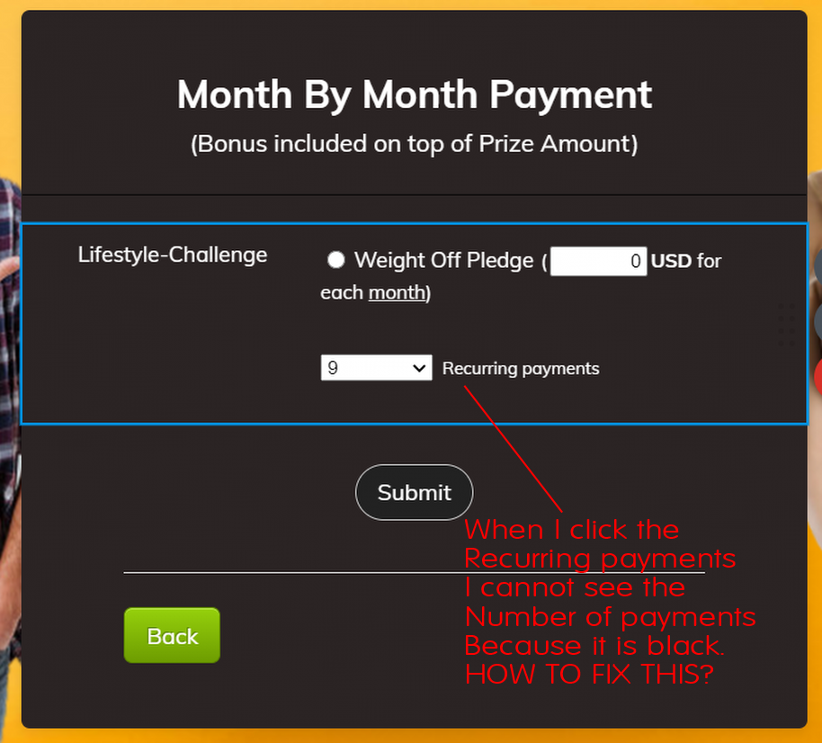 How To Change Colours On The Payment Form 