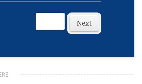 The Save Button could not be seen on the form