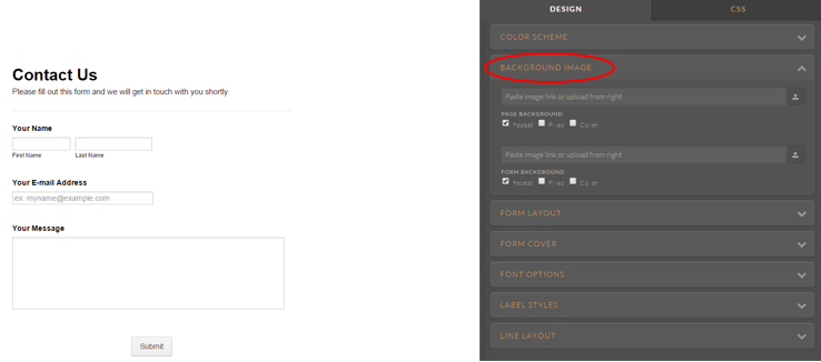 Can you create forms which allow a background to be used or show through when placed in a website? Image 2 Screenshot 61