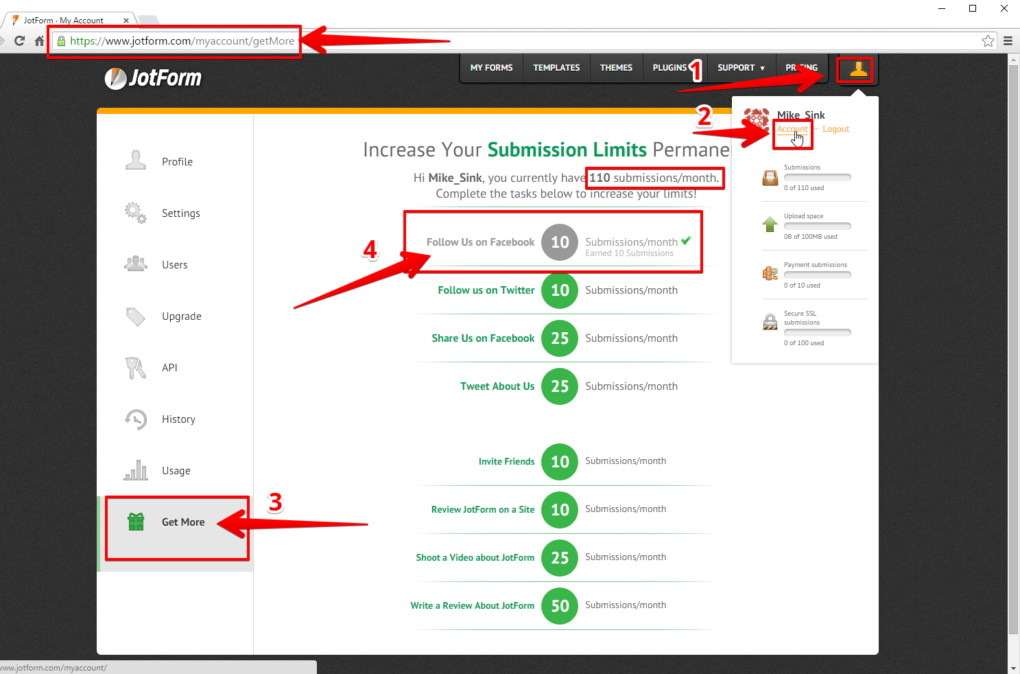 what is the charge for extra submissions when past the limit? Image 1 Screenshot 20