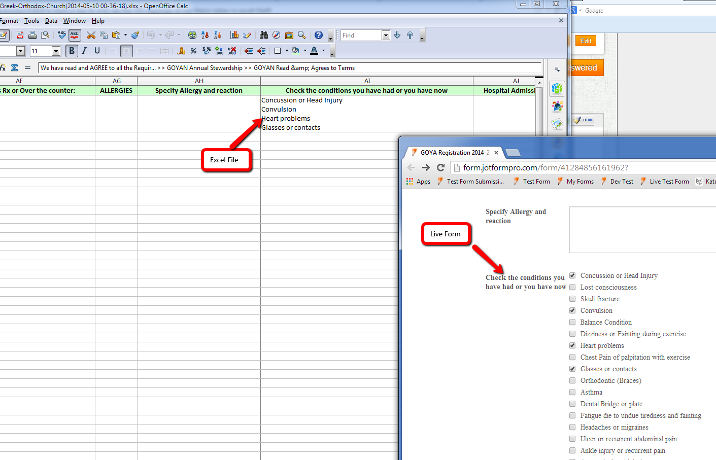 Is there a way to only see the YES responses of my Matrix tables in excell file? Image 1 Screenshot 20