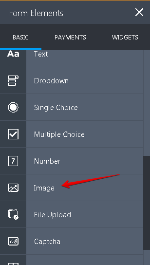 Can I put html on my form so I can display an option for the form user? Image 2 Screenshot 41