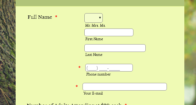 Classic Forms: How to have fields in the same line?  Image 2 Screenshot 41