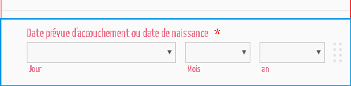 Birth Date Picker widget: How to change month language to French? Image 1 Screenshot 30