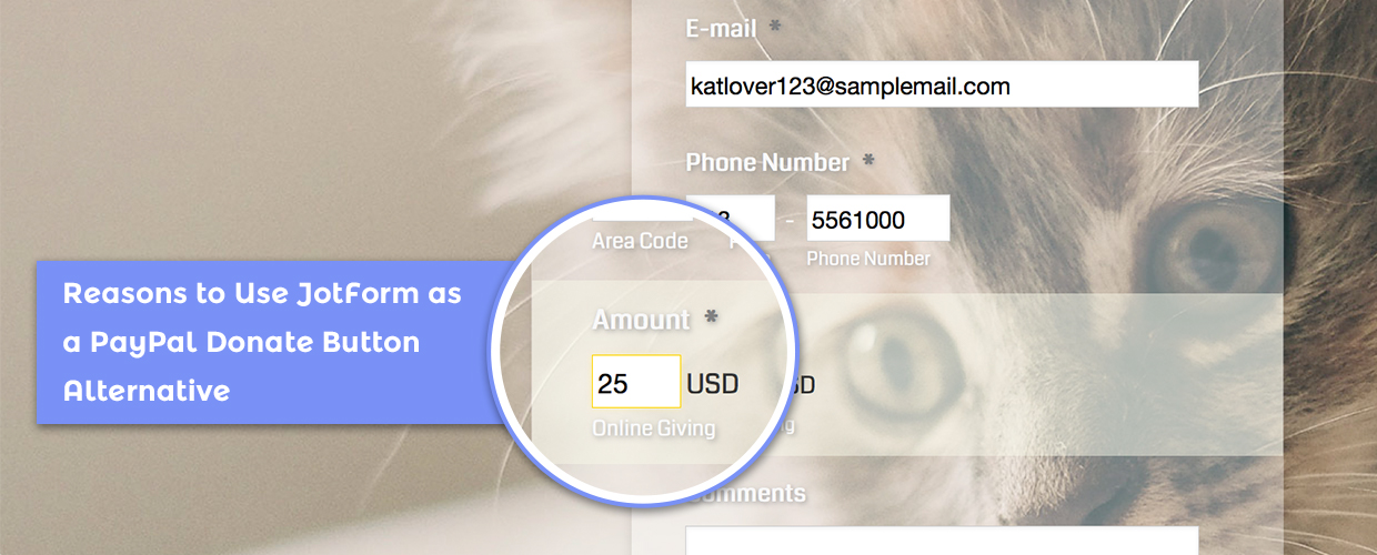 PayPal Donation Button