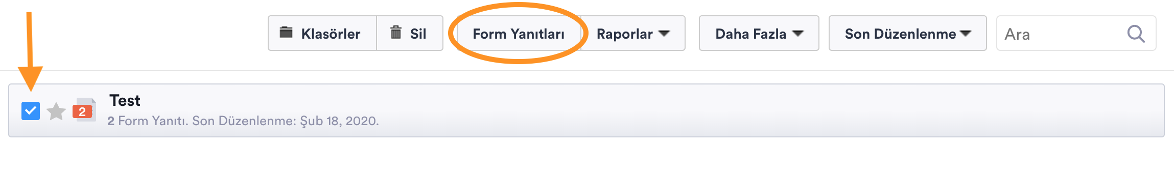 Bir Forma Gelen Yanıtları Görüntüleme Image-1