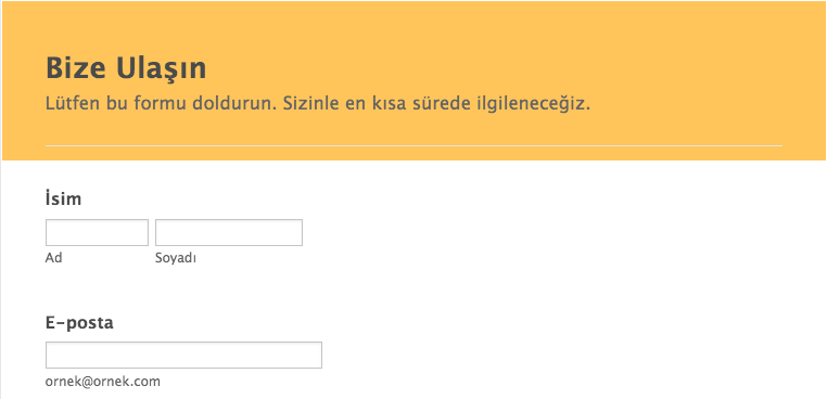 Formunuzu Özel CSS Kodlarıyla Özelleştirme Image-1