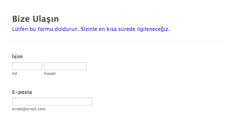 Formunuzu Özel CSS Kodlarıyla Özelleştirme Image-2