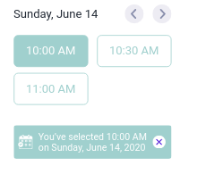 How to change the color in the the hover states, the border, and the selected time of appointment slots field? Image 1 Screenshot 20