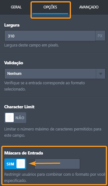 Primeiros passos com a Máscara de Entrada Image-3