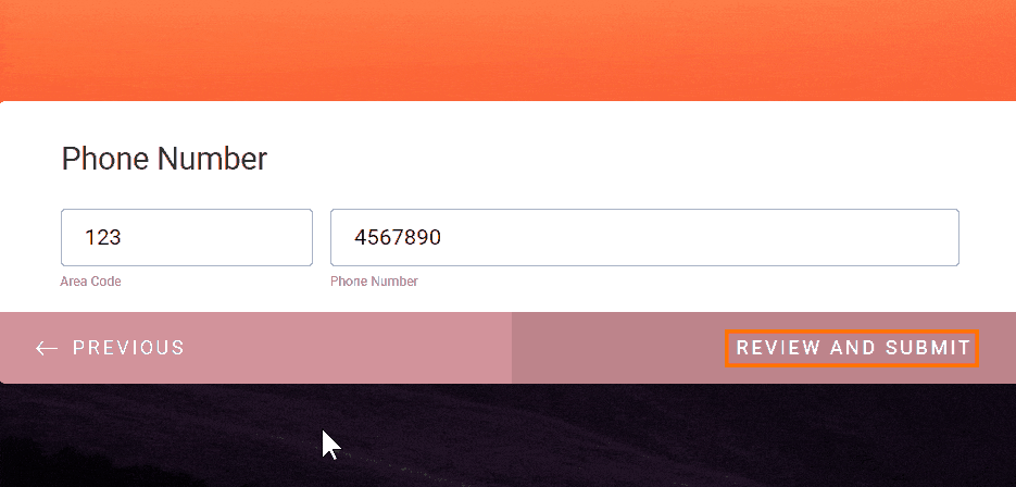 Review Before Submit button