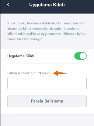 Jotform Mobil Formlarda Kiosk Modu Nasıl Kullanılır? Image-4