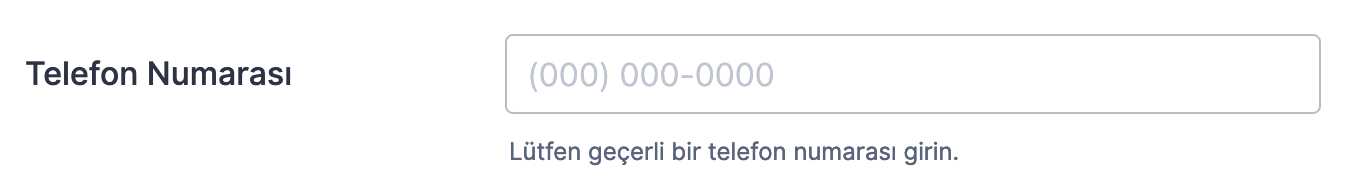 Giriş Maskesi’nin Temelleri ile Başlarken Image-10