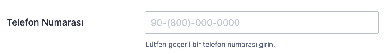 Giriş Maskesi’nin Temelleri ile Başlarken Image-11