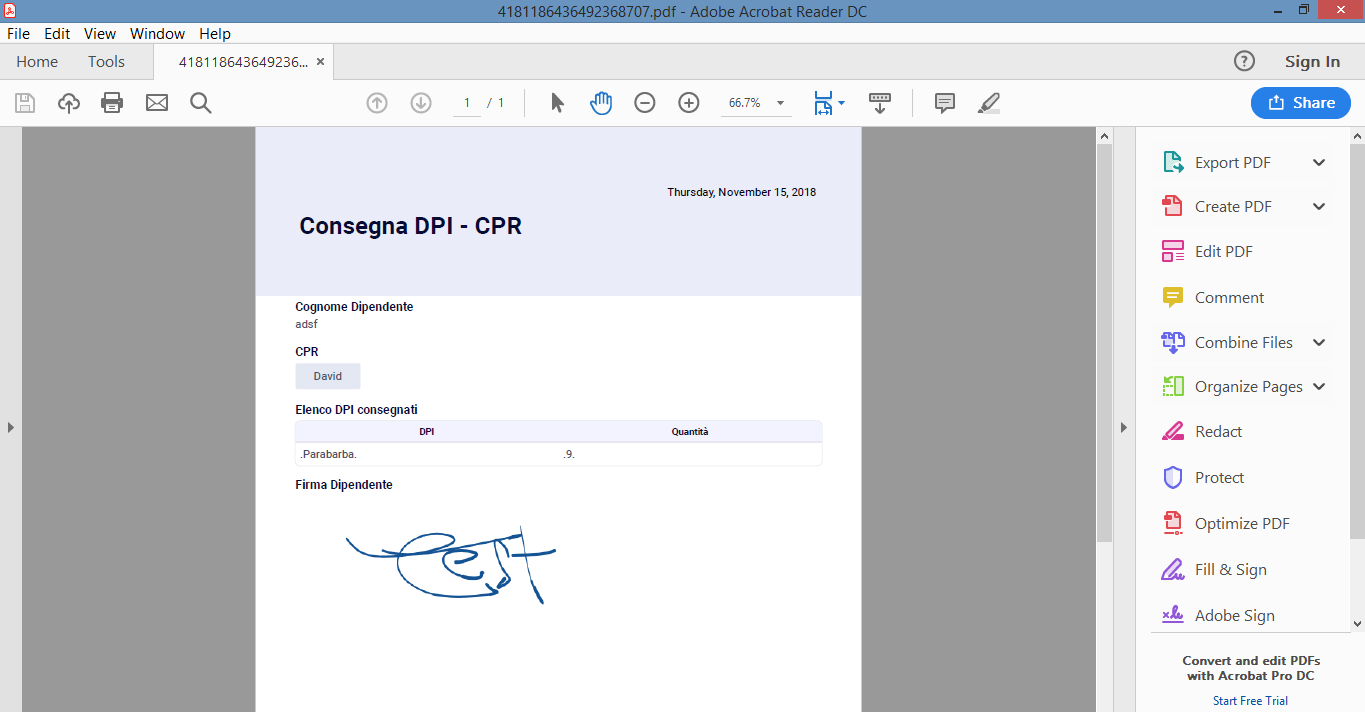PDF attached to the confirmation email is not opened by the PDF reader (all) Image 1 Screenshot 20