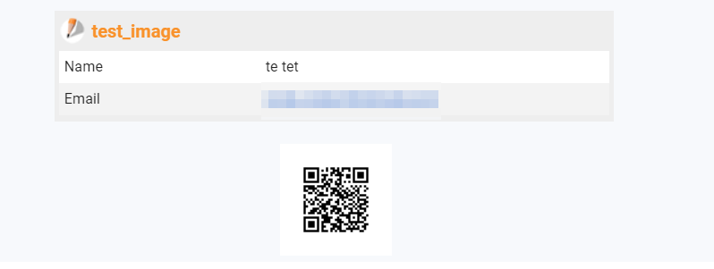 create a widget able to scan QR codes generated for each submitted form Image 1 Screenshot 21