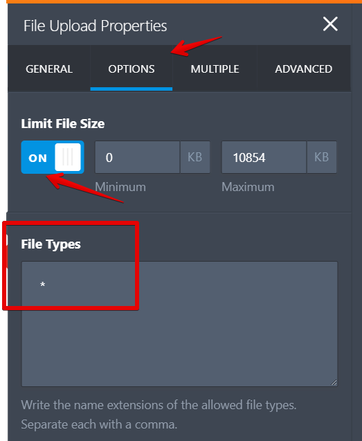 What is the maximum file size that can be uploaded?