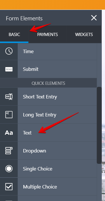 How can I add text not header or subtitle in the web form?  Image 1 Screenshot 20