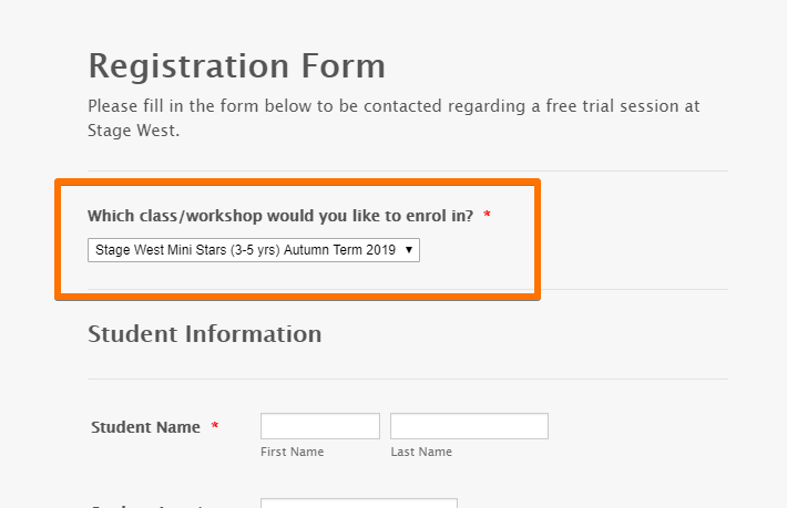 Why has the second part of my form disappeared on site? Image 1 Screenshot 20