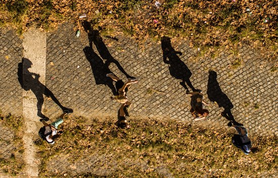collect useful information with an alumni feedback survey