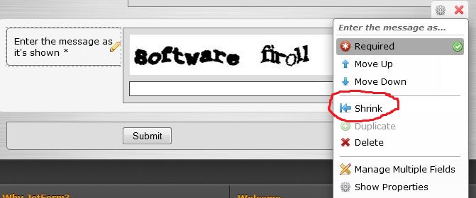 Why is Captcha so slow to load INSIDE the form? Image 1 Screenshot 20