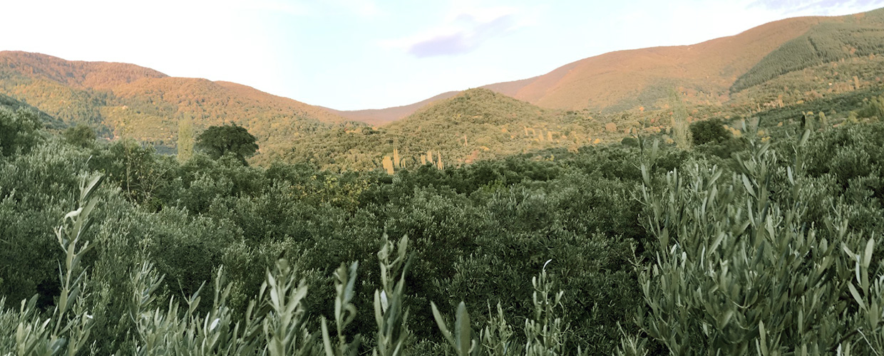 Time off or the top of TechCrunch? Why there’s more to life than dominating the tech news Image-1